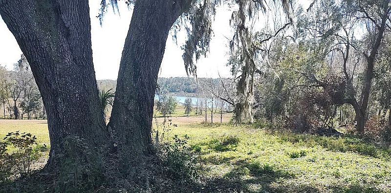Gently Rolling Well Drained 10 Acre Sites McCann Lane, Dade City, Pasco County, Florida 33523 $525K Each